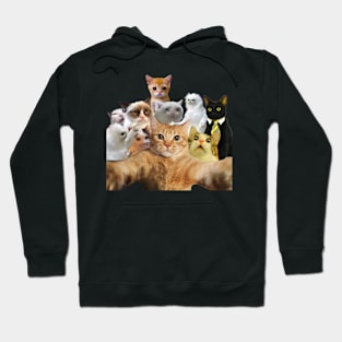 Cat Selfie Cat Hoodie